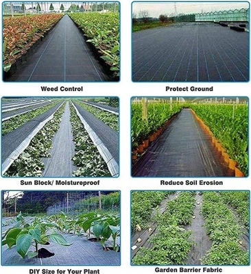 PP ground cover,weed barrier Fabrics, weed mat in strawberry garden, Agricultural weed control pp woven grass mat, 70gsm