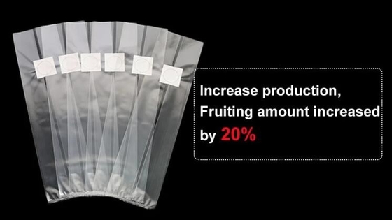 Mushroom Grow Bag For Spawn/Mushroom, GROW BAGS, NURSERY PLANTER, SEED HYDROPONICS, Grow Bags, Garden Patio Plant Flower