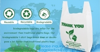 EN13432 BPI OK Compost Home ASTM D6400 Certificates Cheap Compostable 100% Biodegradable Fruits Bag, Vegetable Fruit Rol