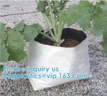 Greenhouse Horticulture Garden Bags Nursery Bags Plants Grow Bags Biodegradable Fabric Pots/Bag Plants Pouch Home Garden