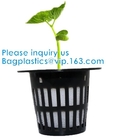 Commercial Aquaponics Growing Systems Agricultural Greenhouse Indoor Hydroponics Plant Net Basket Hydroponic Vegetable