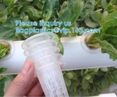 Commercial Aquaponics Growing Systems Agricultural Greenhouse Indoor Hydroponics Plant Net Basket Hydroponic Vegetable