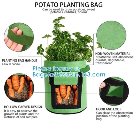 Eco-Friendly PE Potato Growing Bag Garden Planter Bags Reusable Washable Grow Pots Waterproof, Smart Pots for Vegetable