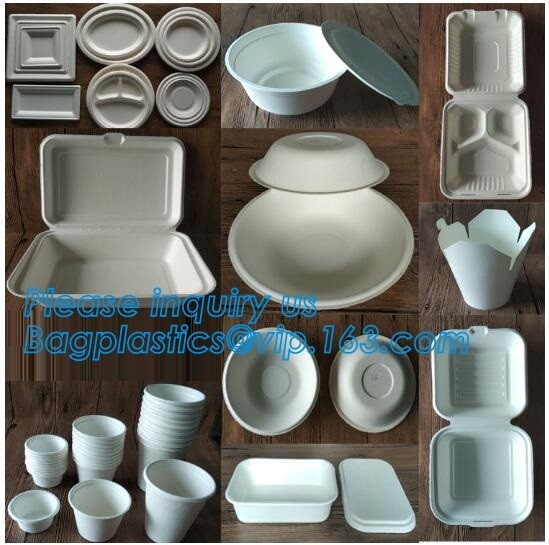 Eco Biodegradable Disposable Sugarcane Bagasse Food Container,Customize ...