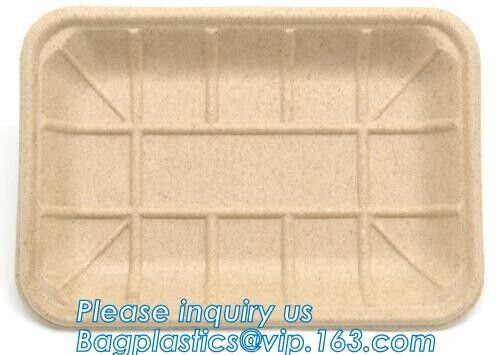 buy corn starch plastic round food tray food tray with lid Biodegradable Plastic Meal Prep Tray bio disposable corn starch online manufacturer