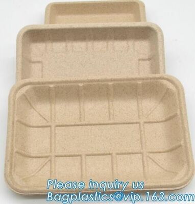 buy Dishes & Plates Dinnerware Blister packaging Resturant Disposable Food Serving Tray food disposable container online manufacturer