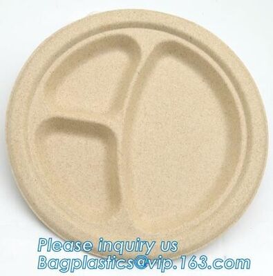 buy biodegradable food tray for fruit or snack biodegradable corn starch disposable plastic food tray PLA Foamed Biodegradab online manufacturer