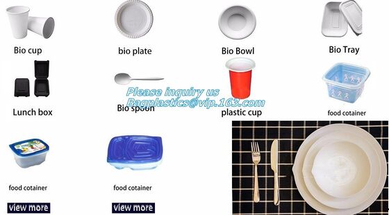 buy mushroom tray vegetable tray, corn starh plastic disposable lunch box, eco friendly biodegradable plates online manufacturer