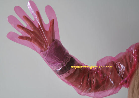 buy cornstarch made biodegradable compostable disposable plastic pe food handliDisposable Transparent HDPE PE Plastic Gloves online manufacturer