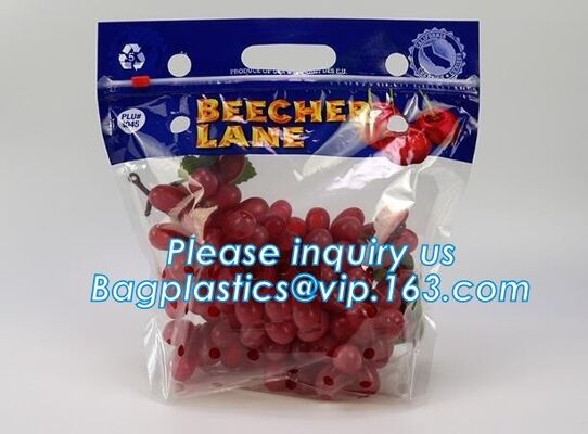 buy Resealable Vent Hole Plastic Bag For Fruit With Slider, OEM Printed Logo food grade Slider Storage Bags, Custom grape/fr online manufacturer