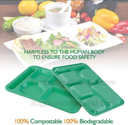 buy fast food boxes custom logo printing, Compostable plastic food container, eco-product renewable 100% compostable PLA foo online manufacturer