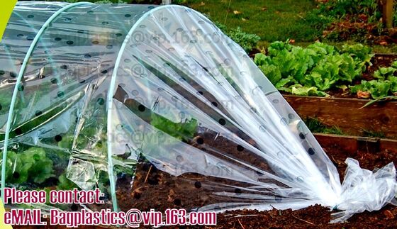 buy Black film, White film, Silver film, Mulching film, Perforated Film, Agricultural Film, Greenhouse film, horticultural online manufacturer