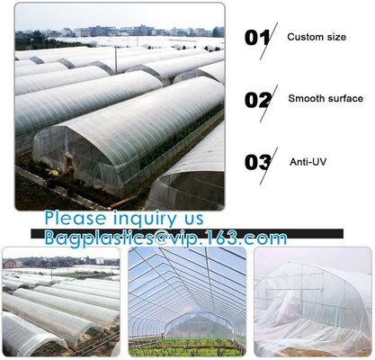 buy 200 Micron Uv Resistant Film Greenhouse Perforated Mulch Agricultural Film Vegetable Planting online manufacturer