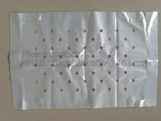 buy_db_8_Clear_db_8_Poly_db_8_Sheeting_db_8_Lay_db_8_Flat_db_8_Tubing_db_8_Layflat_db_8_Tubing_db_8_Tubing_db_8_Bags_db_8_Auto_db_8_Bags_db_8_Polythene_db_8_Sheet_db_8_Polythene_db_8_Packaging_db_8_Film,_db_8_Bagea_db_8_online_db_8_manufacturer