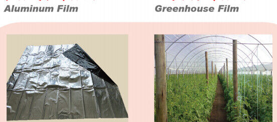 buy BANANA BAG, FERTILIZER BAG,STRETCH FILM,SHRINK FILM,GREENHOUSE FILM,CALENDAR BAG,SEEDLING BAG,GARDEN PRODUCTS SUPPLIES online manufacturer