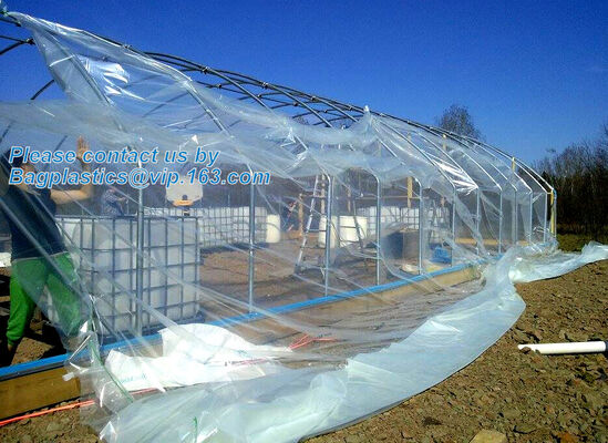 buy plastic film agriculture greenhouse,6 mil poly anti-uv plastic greenhouse film,Anti-fog UV resistant,mushroom,TOMATO PAC online manufacturer