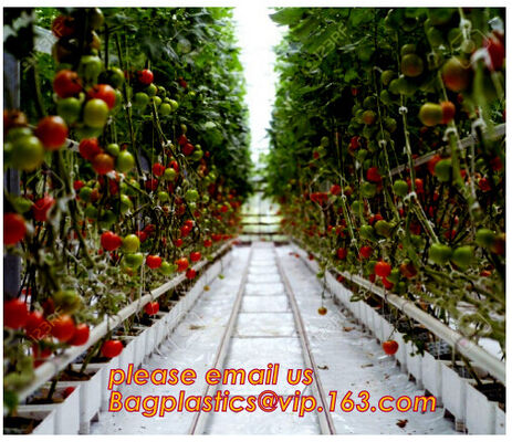 buy Film Covering Tomato Planting Greenhouse,Tomato Greenhouse film, Plastic Polyethylene sheet 6 mil 4 year UV Resistant cr online manufacturer
