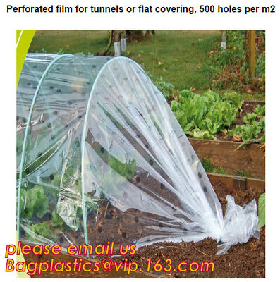 buy plastic tomatoes home garden polytunnel greenhouse film,Film Covering Tomato Planting Greenhouse,agricultural TUV polyet online manufacturer