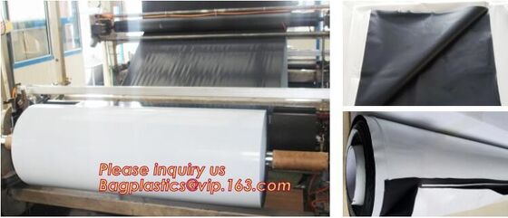 buy Panda Film for Blackout Greenhouse/Black-White Poly is UV-Stabilized Plastic Mushroom,0.1mm 0.12mm 0.15mm 0.18mm 0.2mm 0 online manufacturer