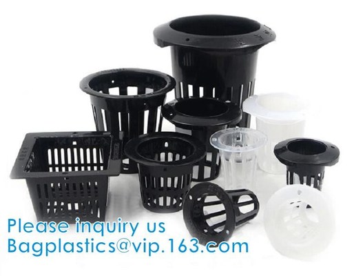 buy Commercial Aquaponics Growing Systems Agricultural Greenhouse Indoor Hydroponics Plant Net Basket Hydroponic Vegetable online manufacturer