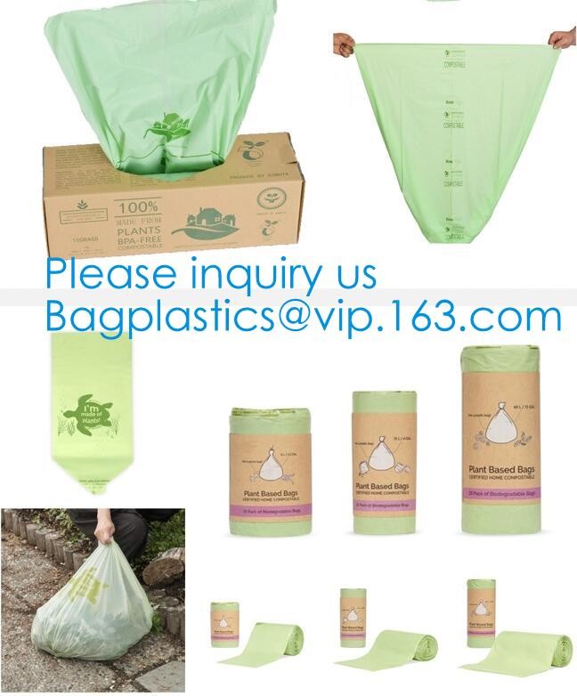 Compostable Recyclable Clear Poly Bags Custom Logo OPP Material Plastic