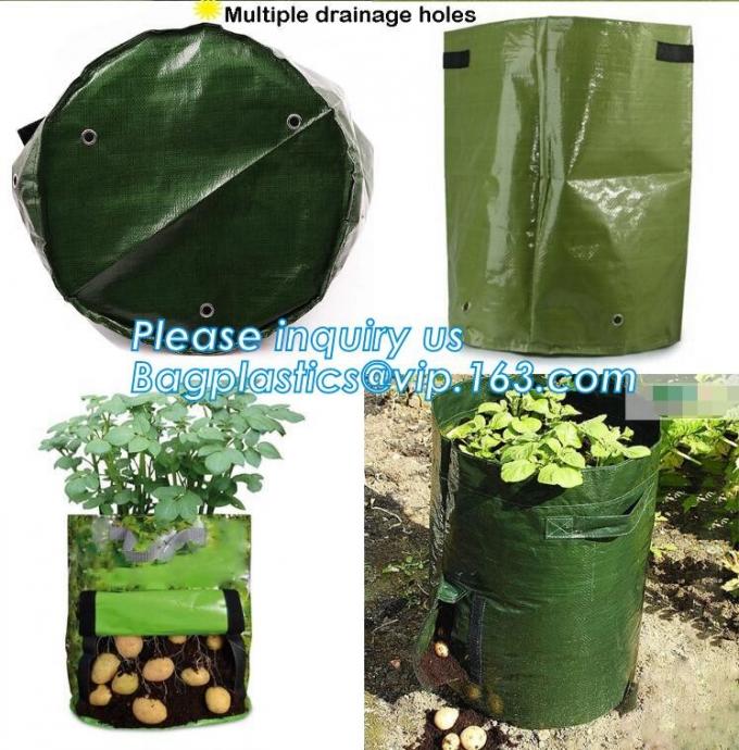 15 GALLON Hole Plastic LDPE Grow Bags For Nursery, Black & White PE