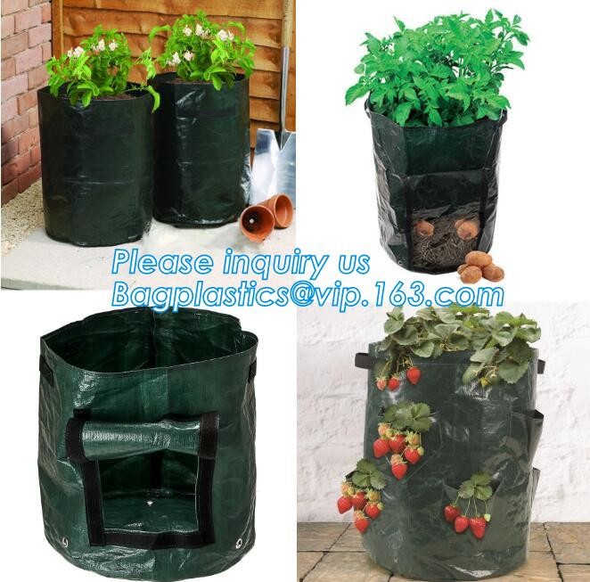 polyethylene black grow bags plastic plant pot seeding nursery bags
