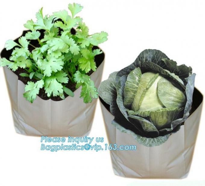 Grow Bags with Flap and Handles Collapsible 10 gallons,garden plant