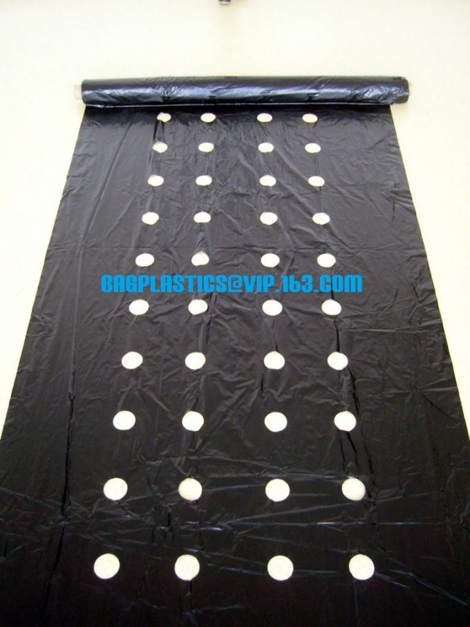 Silver Black Perforated Plastic Mulch Film with Punch Hole